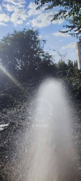 От горящей травы могли загореться машины