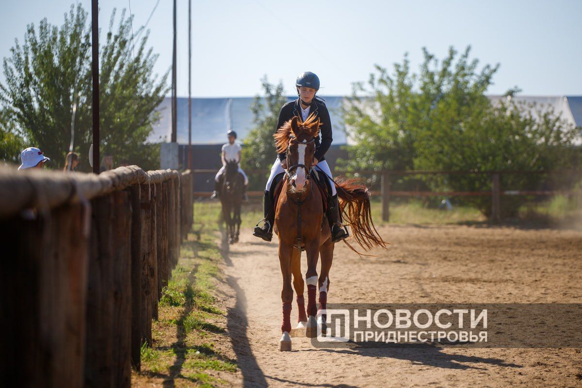 Двухдневные состязания по конкуру прошли в Тирасполе Двухдневные состязания по конкуру прошли в Тирасполе