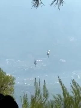��� ��������� ����������� � ������� �� ����� ������� ������� � ������