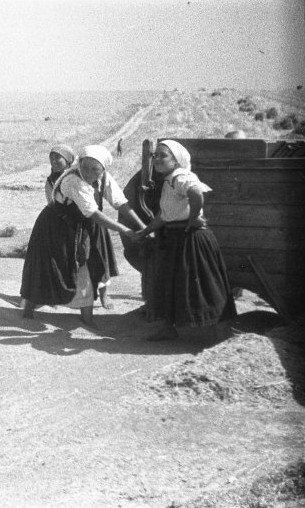 На току полевой бригады села Подойма, 1937 год На току полевой бригады села Подойма, 1937 год
