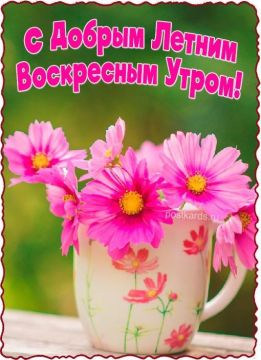 2 августа - пусть это воскресенье станет днем, когда ты решишь быть счастливым, несмотря ни на что