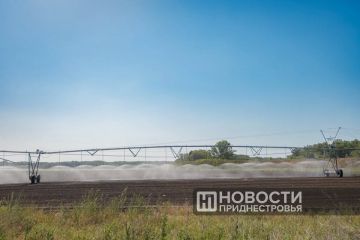 Модернизация системы орошения продолжается несмотря на экономический кризис – приобретён ещё один электродвигатель для насосной станции в Слободзейском районе