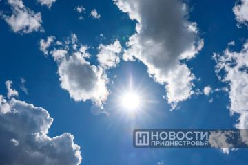 Сегодня будет жарко: до +39°C