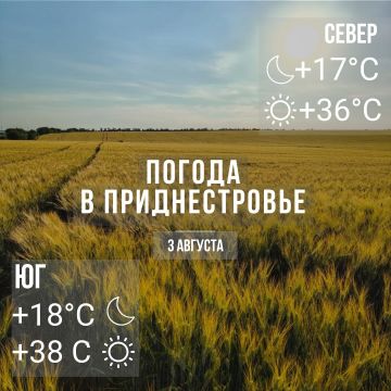 Днём – до +37°С, без осадков