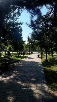 Неспешное утро понедельника без трендовых звуков