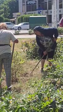 � ������������ ���� ����� ������, ������� �� �������� �� �����