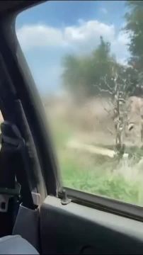 ���� �������� �� �������� ��� ������ �����