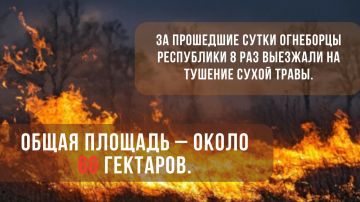 Восемь выездов и 60 гектаров выгоревшей травы — итог прошедших суток