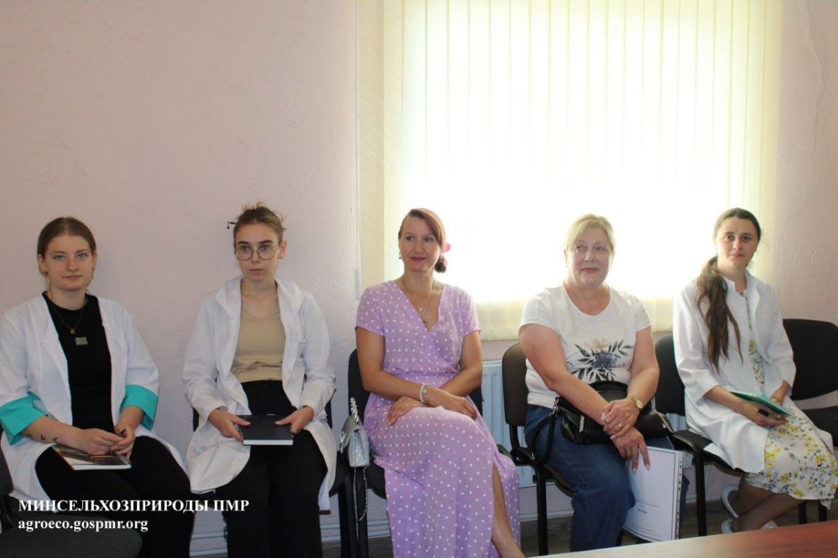 Ветеринарные специалисты Приднестровья провели онлайн-встречу с коллегами из Белоруссии