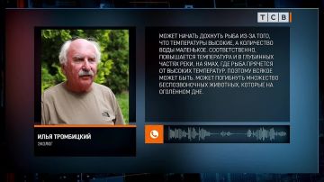 Эколог Илья Тромбицкий: Снижение сбросов воды из Новоднестровского водохранилища приведёт к тому, что Днестр будет деградировать ещё быстрее, рыба может начать умирать