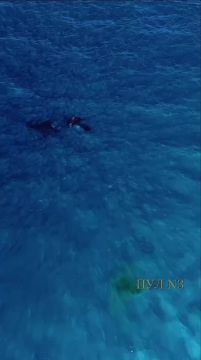 � ������� ��������� ������� ����� � ����� �������� ��������� ����: