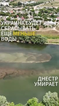 МИД Приднестровья призвал Молдову к проведению консультаций из-за критической ситуации с обмелением Днестра
