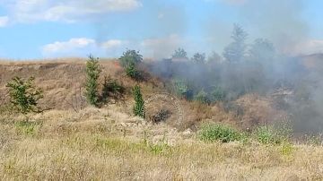 За сутки в Приднестровье произошло 8 возгораний сухой травы