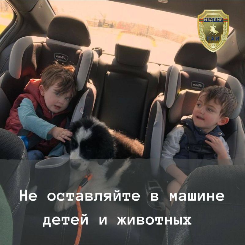 Жара: советы тем, кто за рулём Жара: советы тем, кто за рулём