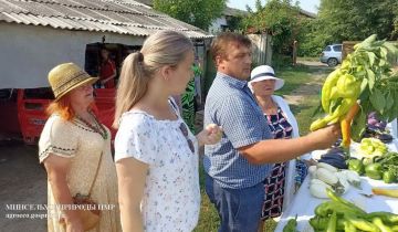 Работа над созданием сортов и гибридов паслёновых культур разных сроков созревания, пригодных для свежего потребления и консервирования