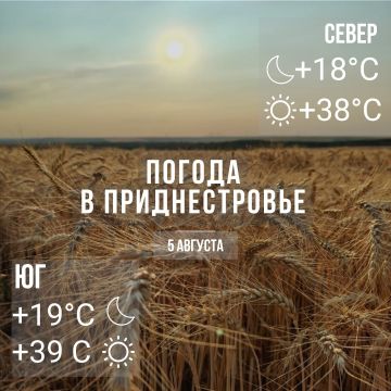Днём – до +39°С, без осадков
