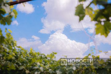 +33 �C ������� ��������� � ������������� �� ��������� ������