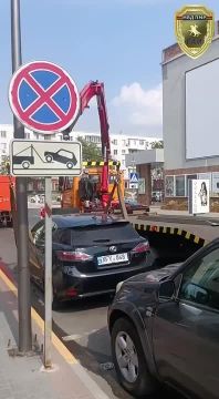 ���� ���������� � ��������