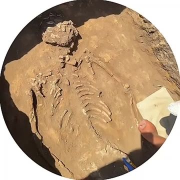 Приднестровские археологи в +40 раскапывают 5000-летний курган в Слободзейском районе