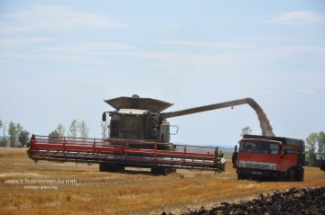 Хлеборобы Приднестровья собрали более 300 тысяч тонн озимой пшеницы