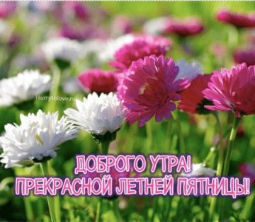 7 августа - только работа, а не талант может принести вам успех сегодня