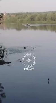 Переплыла Днестр – обратно сил не хватило