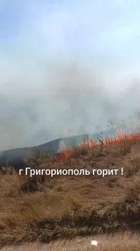 Сухая трава вчера горела на окраине Григориополя