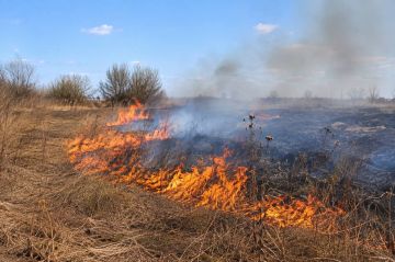 За выходные пожарные 29 раз выезжали на тушение сухой травы