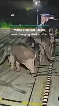 ������� ���������� �������� ������� �� ������������� �������: