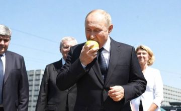 «Яблоко» сняли с выборов в Госдуму, — решение Верховного суда РФ