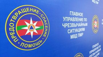 �� �������� �������� �������� ���������� 29 ��� �������� ������ ���������� ����� �����, ������ � ��������