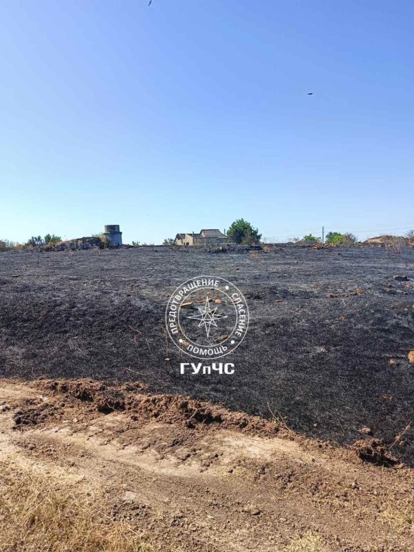 Крупный ландшафтный пожар вчера произошёл в Григориополе Крупный ландшафтный пожар вчера произошёл в Григориополе
