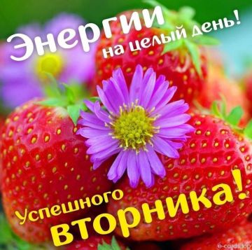 11 августа – успех – не ключ к счастью