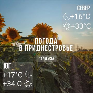 Днём – до +34°С, без осадков