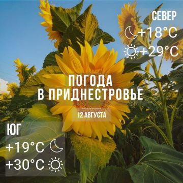 �����, � �������� �� ������ ����������, ������� �����