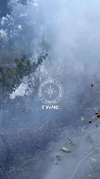 В столице, в районе дачных участков на Западном, загорелась сухая трава и несколько хозпостроек