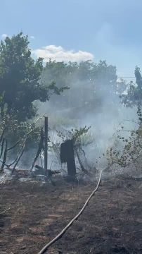Огонь уже перекинулся на несколько участков