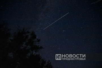 Персеиды-2026 и волшебное ночное августовское небо от нашего фотографа Артема Кулекина
