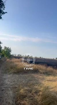 На видео столичные огнеборцы тушат сухую траву в районе СОТов