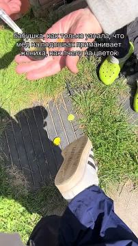 В сети снова вирусятся видео, как девушки в Медовый Спас намазывают мёдом подошву «чтоб женихи липли»