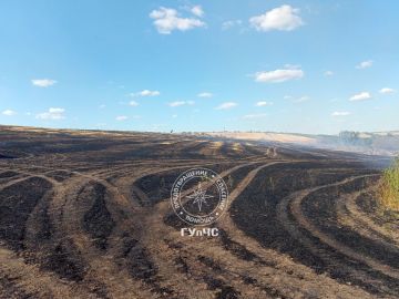 25 гектаров стерни сгорело накануне в селе Колбасна Рыбницкого района