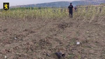 ����������� ������ ������� � ��������� ������������ ������� - ���������� ������