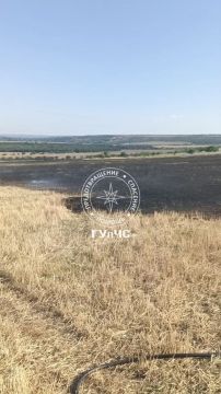 Вчера днём на окраине Кицкан бендерские пожарные тушили горевшую стерню на площади 20 гектаров
