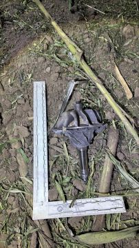 На юге Молдовы снова упал предположительно дрон-ракета, оснащенный турбореактивным двигателем