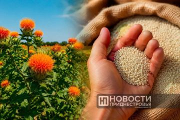 ��������� ������ � ������ ���������� ����� ����� ������ ���������� ��� ����� �������������