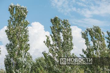 ��������� �� ��������������: ������� ����� ����� � ������� �� ���������� ������� ��������� �������� ����� �� 15 �/�