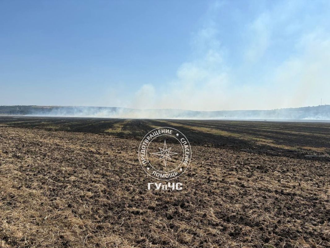 За минувшие сутки пожарные республики 14 раз выезжали на тушение возгораний сухой травы, мусора и сухостоя За минувшие сутки пожарные республики 14 раз выезжали на тушение возгораний сухой травы, мусора и сухостоя