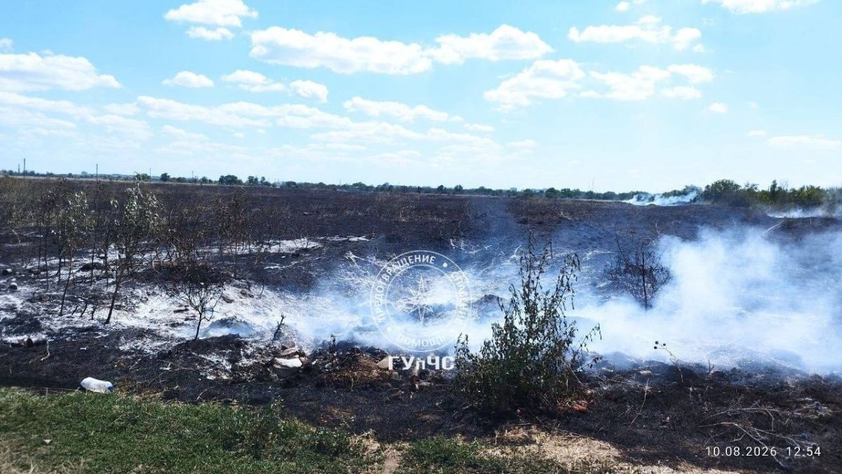 На Ближнем Хуторе 17 августа недалеко от карьера загорелась сухая трава На Ближнем Хуторе 17 августа недалеко от карьера загорелась сухая трава