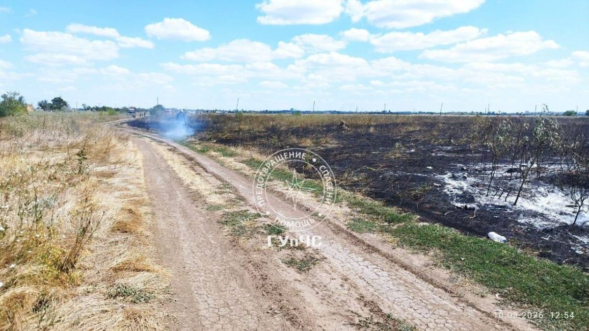 На Ближнем Хуторе 17 августа недалеко от карьера загорелась сухая трава На Ближнем Хуторе 17 августа недалеко от карьера загорелась сухая трава