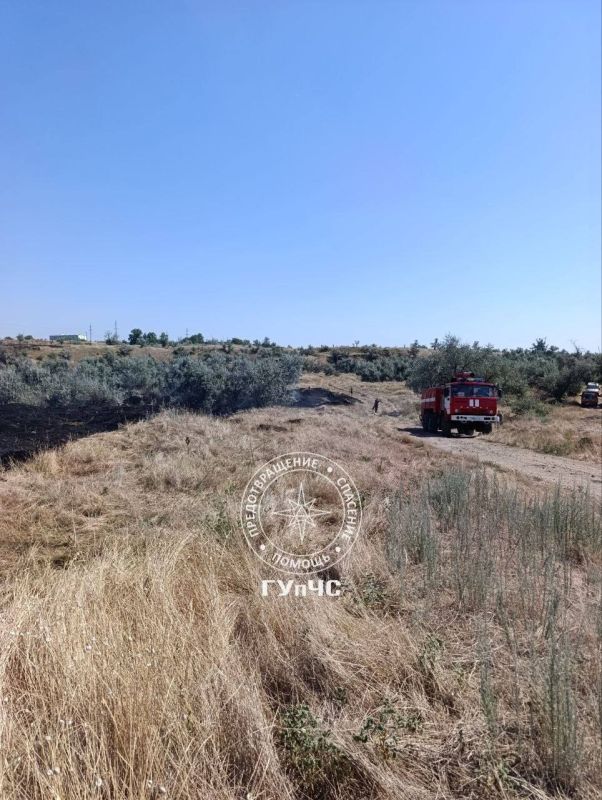 На Ближнем Хуторе 17 августа недалеко от карьера загорелась сухая трава На Ближнем Хуторе 17 августа недалеко от карьера загорелась сухая трава